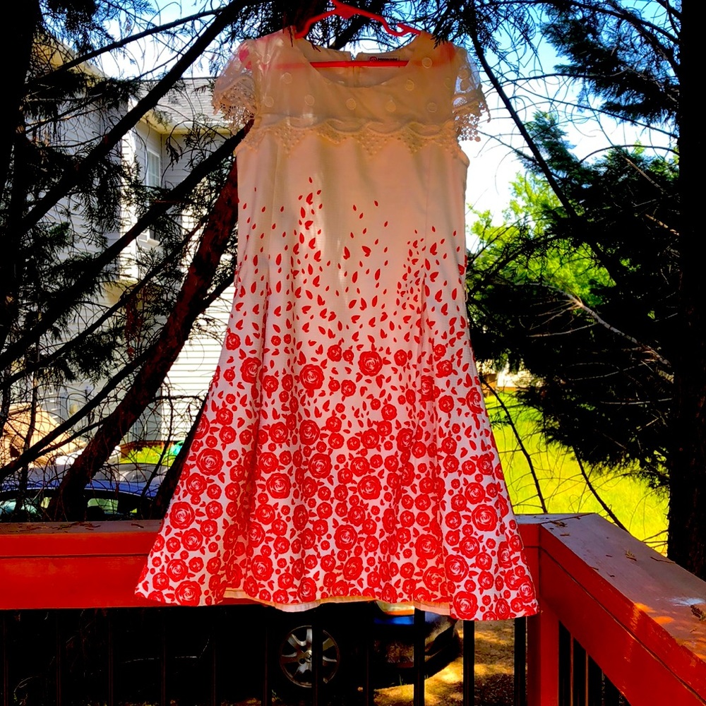 White and red rose dress